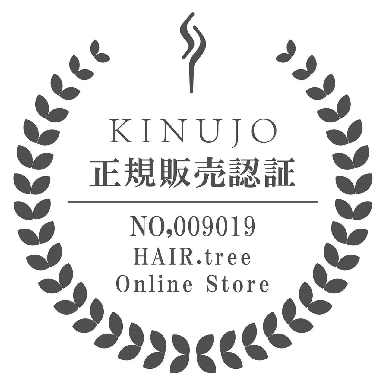 【加盟店限定10%OFF】KINUJO Pro ストレートアイロン　
